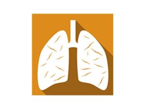 Asbestos Awareness for Architects and Designers - Online Course